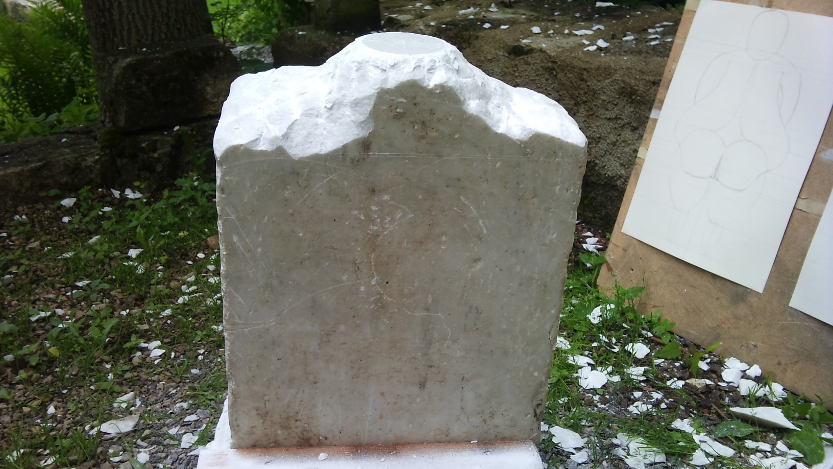 Ebauche de la tête